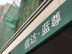 信达蓝尊将于1月19日开盘 最低价39887元 平