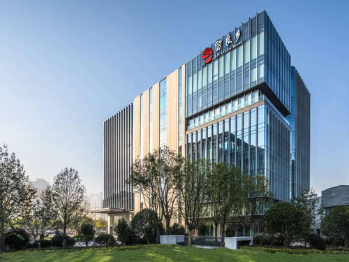 留良乡 认为任何人投资理财就是理的是人生