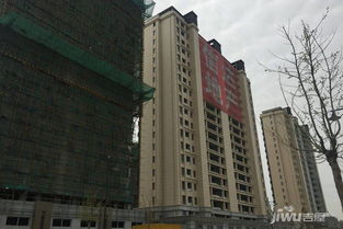 上海松江松江新城信达蓝尊实景图72